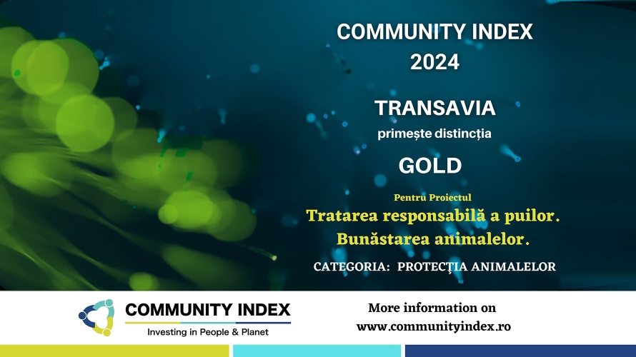 Responsible Treatment of Chickens. Animal Welfare