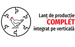LANT-DE-PRODUCTIE-COMPLET_14