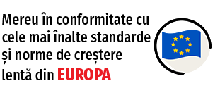 STANDARDE-IN- EUROPA