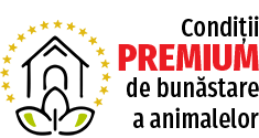conditii-premium