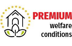 2-en