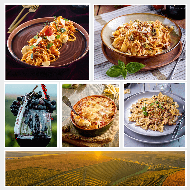 TRANSAVIA inițiază, alături de reputate mărci românești, programul ...