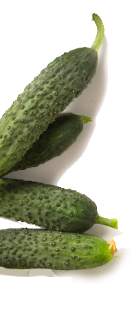 Cucumbers